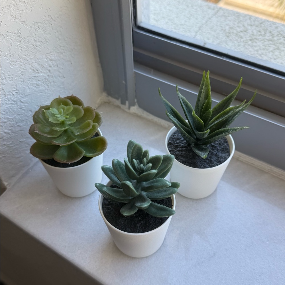IKEA Trio Fake Succulents
